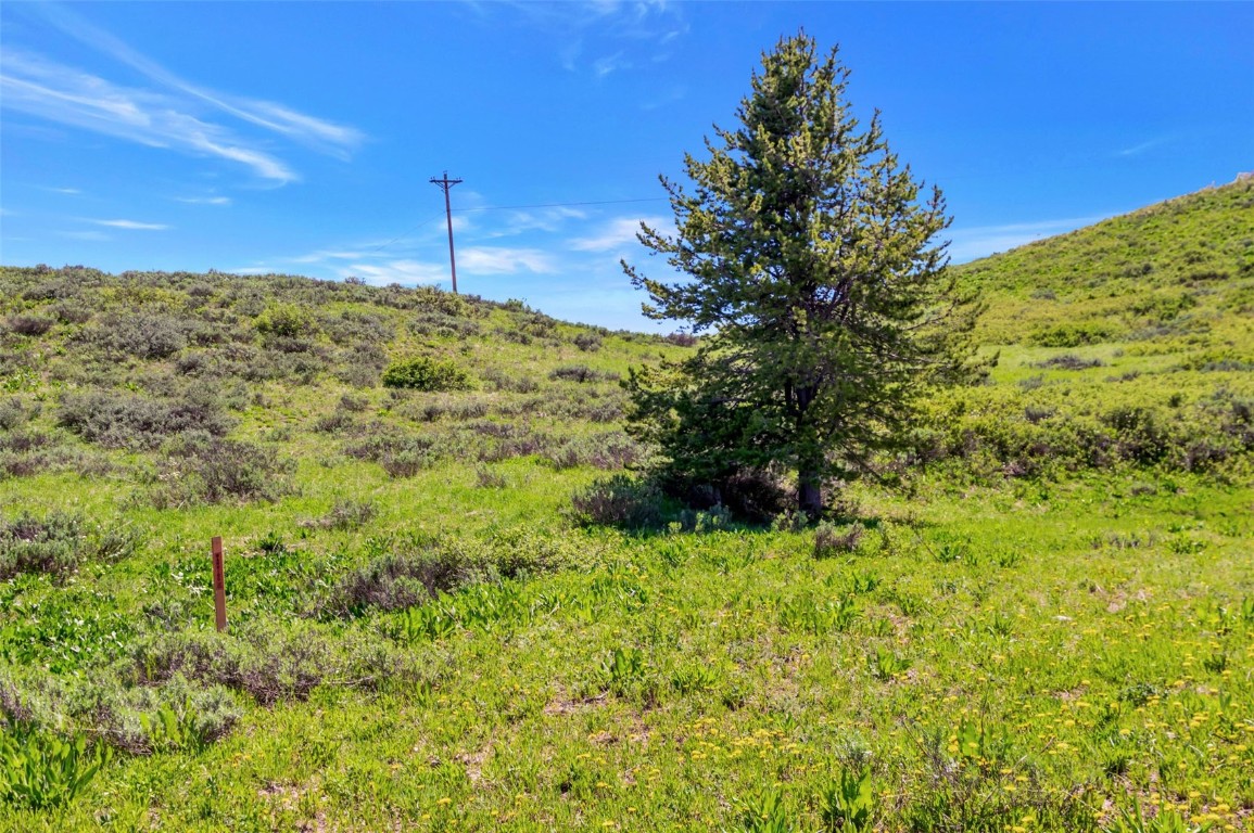 Tbd Golden Tide Place Clark, CO 80428 - Photo 11 of 35 a view of a yard