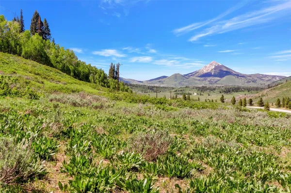 a view of an outdoor space and a yard
