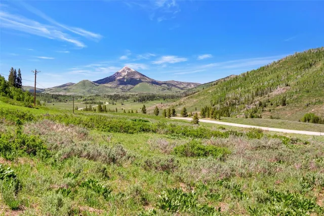 a view of a big yard with large trees