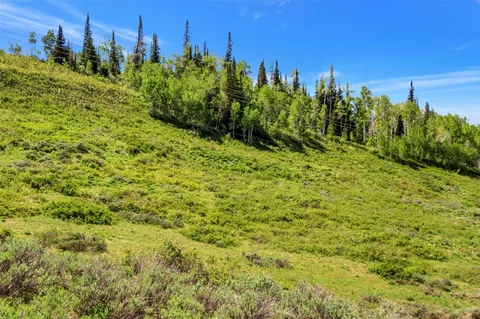 $245,000 | Tbd Golden Tide Place, Clark, CO 80428