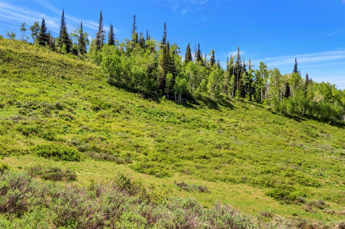Tbd Golden Tide Place Clark, CO 80428 - Photo 29 of 37 a view of a garden
