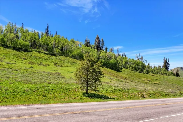 a view of a yard with an trees