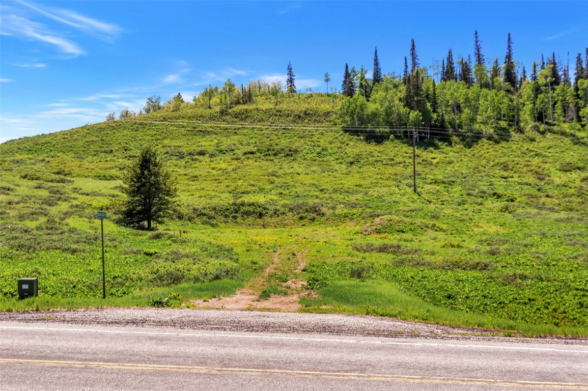 Tbd Golden Tide Place Clark, CO 80428 - Photo 35 of 37 a view of a garden
