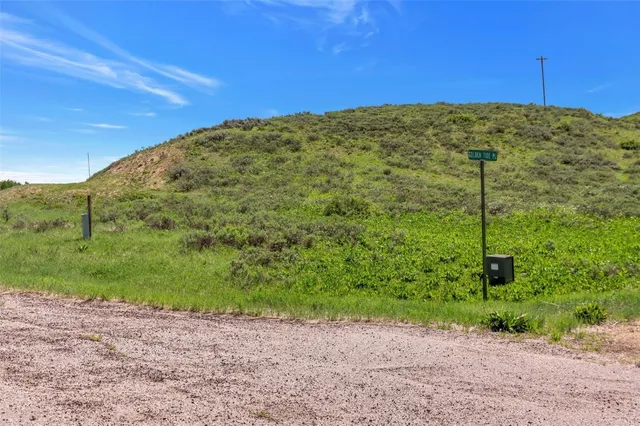 a view of a big yard with potted plants
