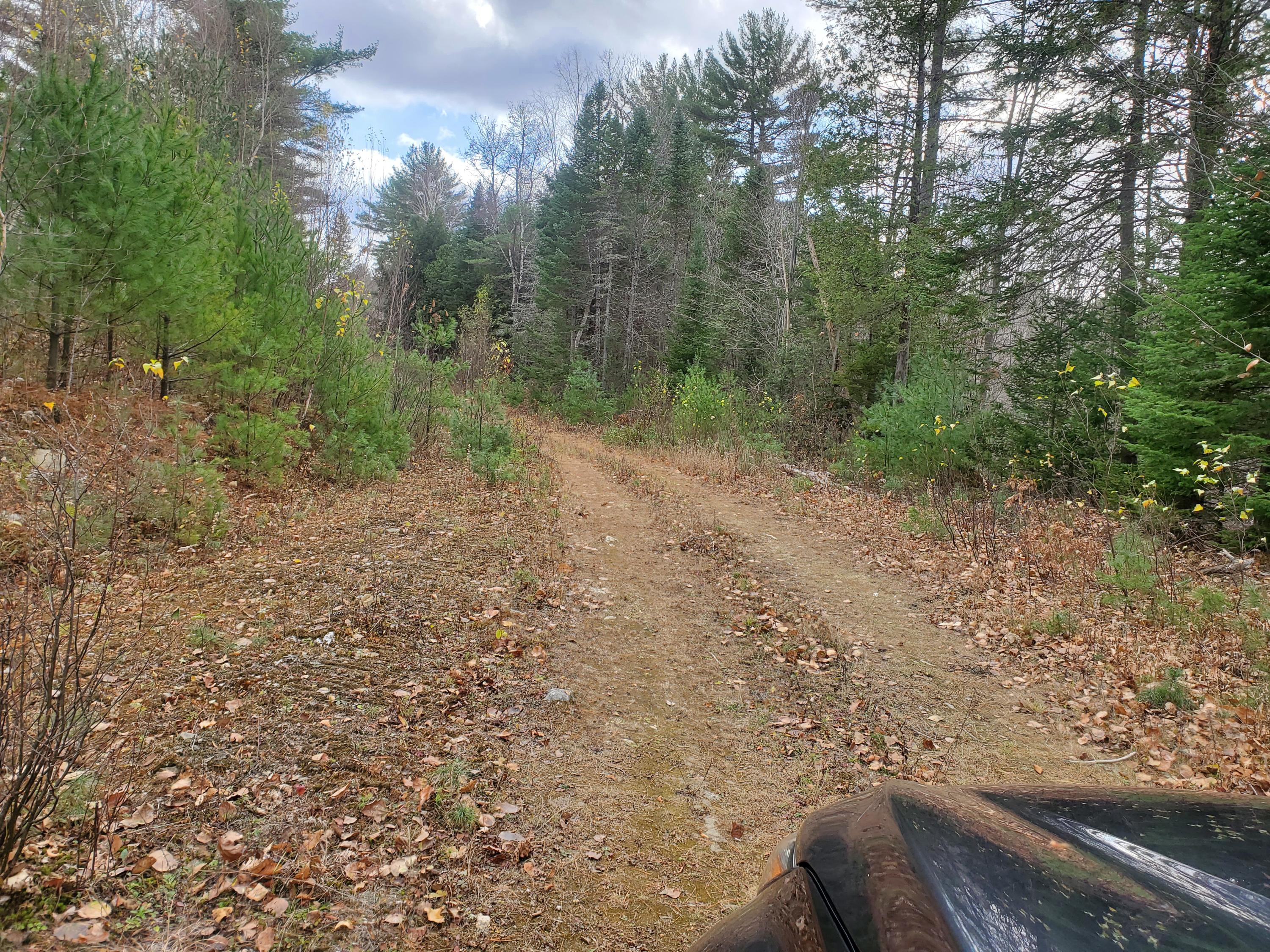 Tbd Tbd Round The Pond & Upton Brother Roads Norway, ME 04268 - Photo 3 of 11 20201103_121123