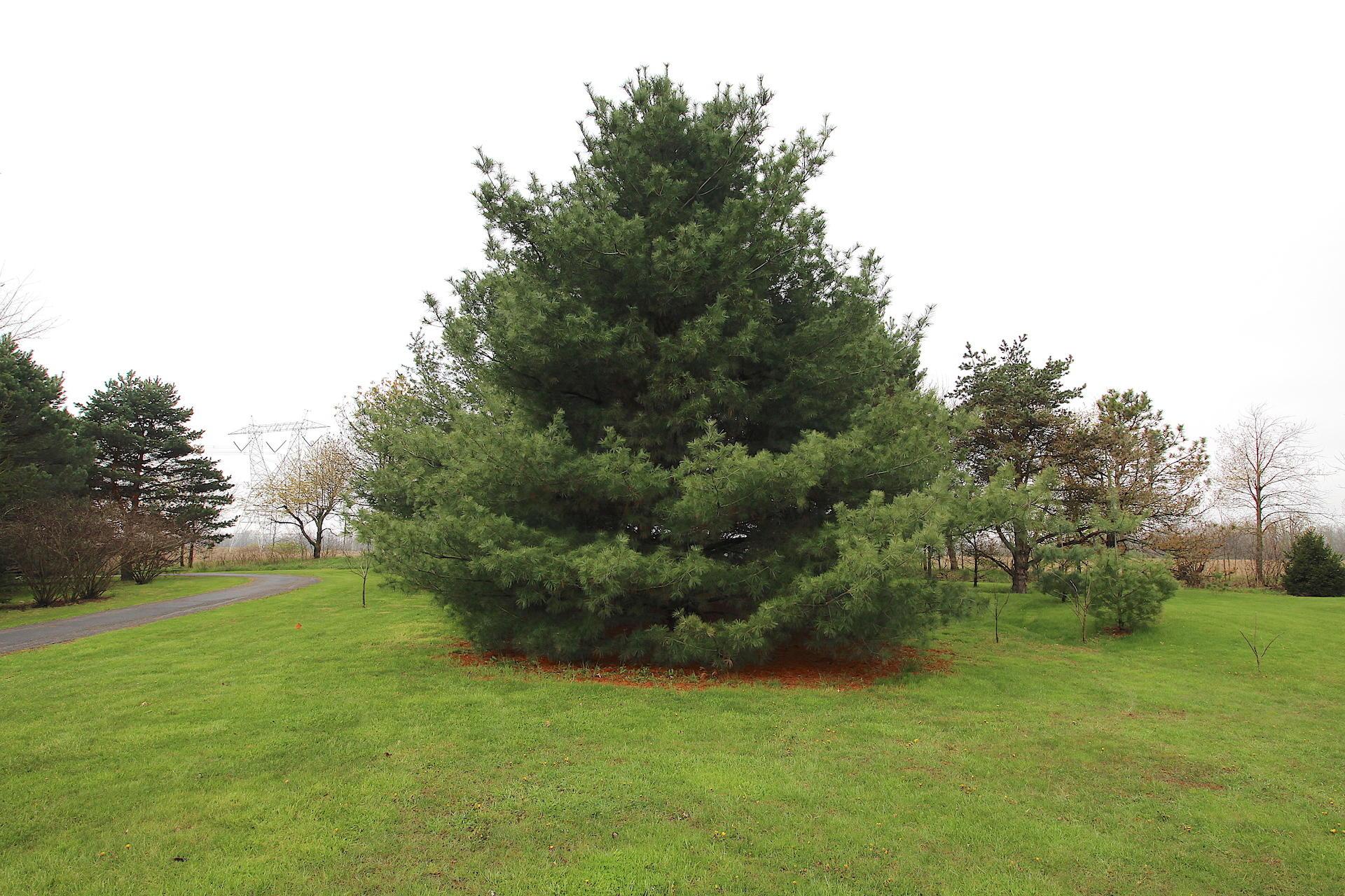 7250 Hinton Mill Road Ostrander, OH 43061 - Photo 24 of 35 Gallery Image 24