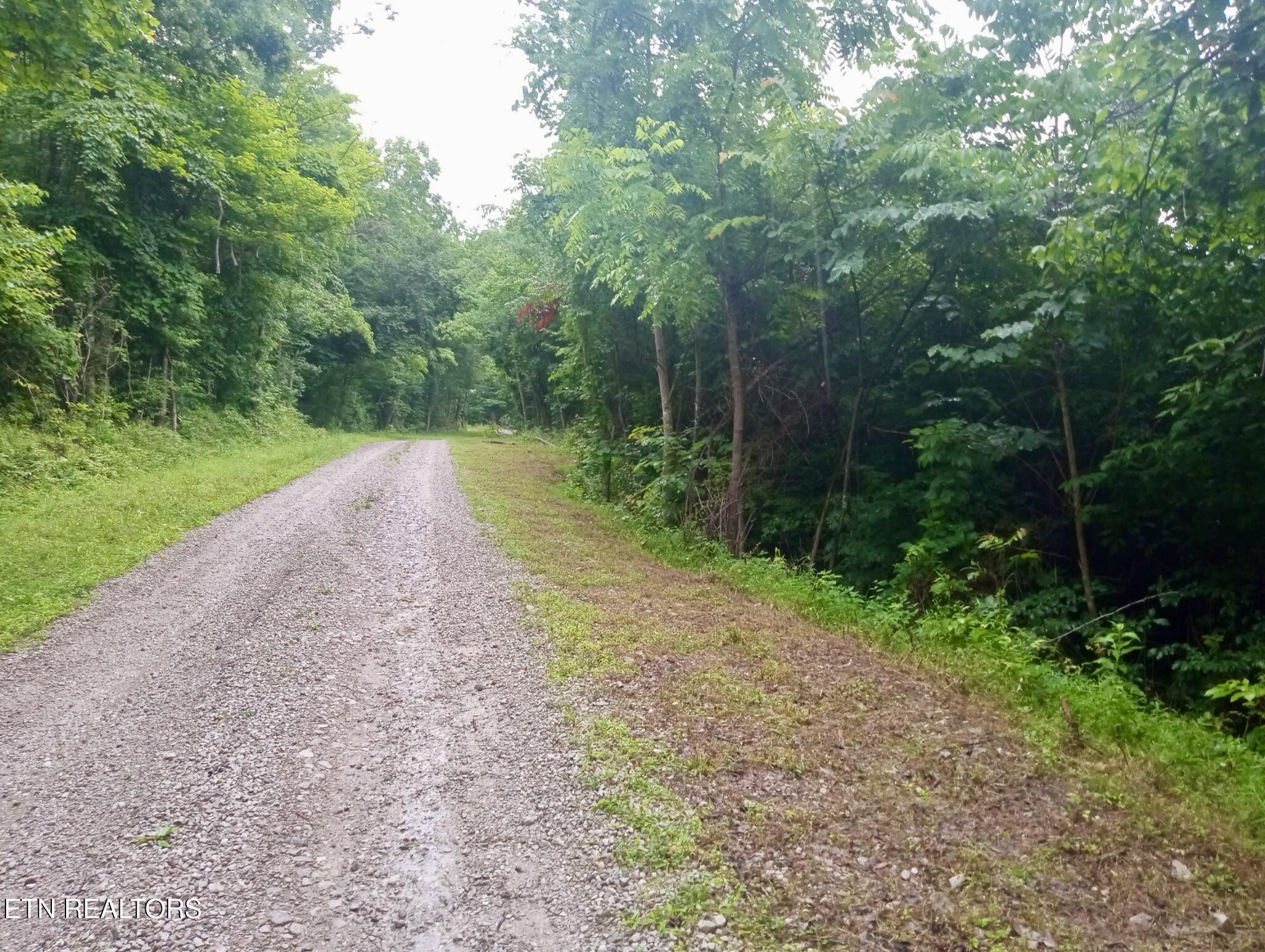 Roe Lane Winfield, TN 37892 - Photo 5 of 9 IMG_20260627_131144331
