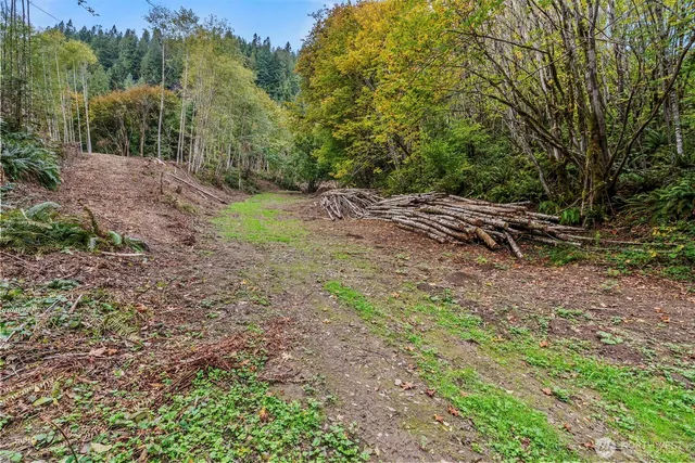 a view of a yard with a tree