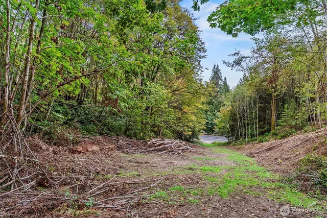 a view of outdoor space and trees