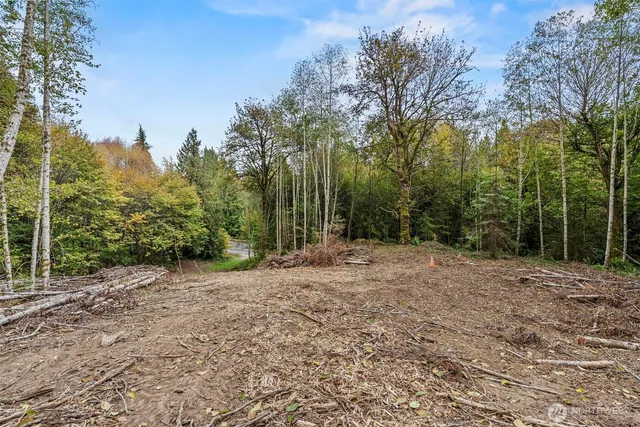 a view of a field with trees in the background