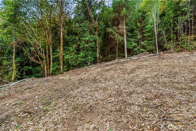 a view of a backyard with large trees