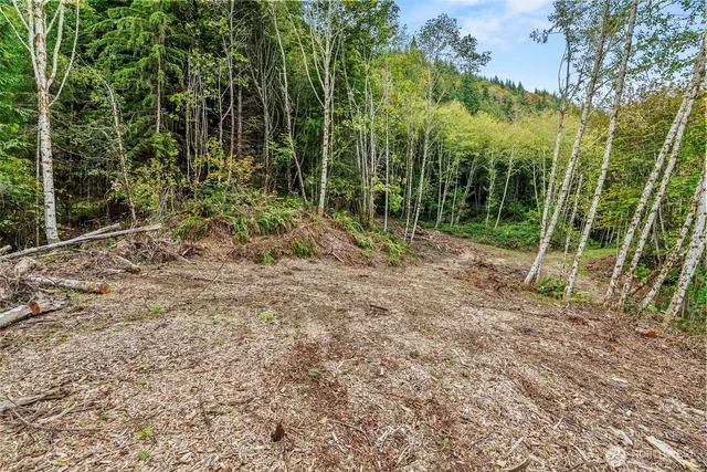 $190,000 | 4 East Cathlamet Wa 98612, Cathlamet, WA 98612