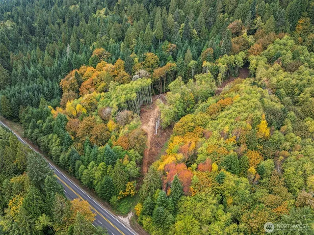 a view of a garden with plants