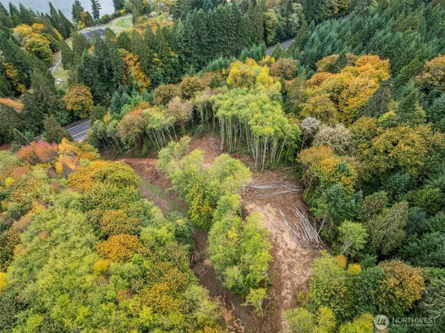 a view of a garden with plants