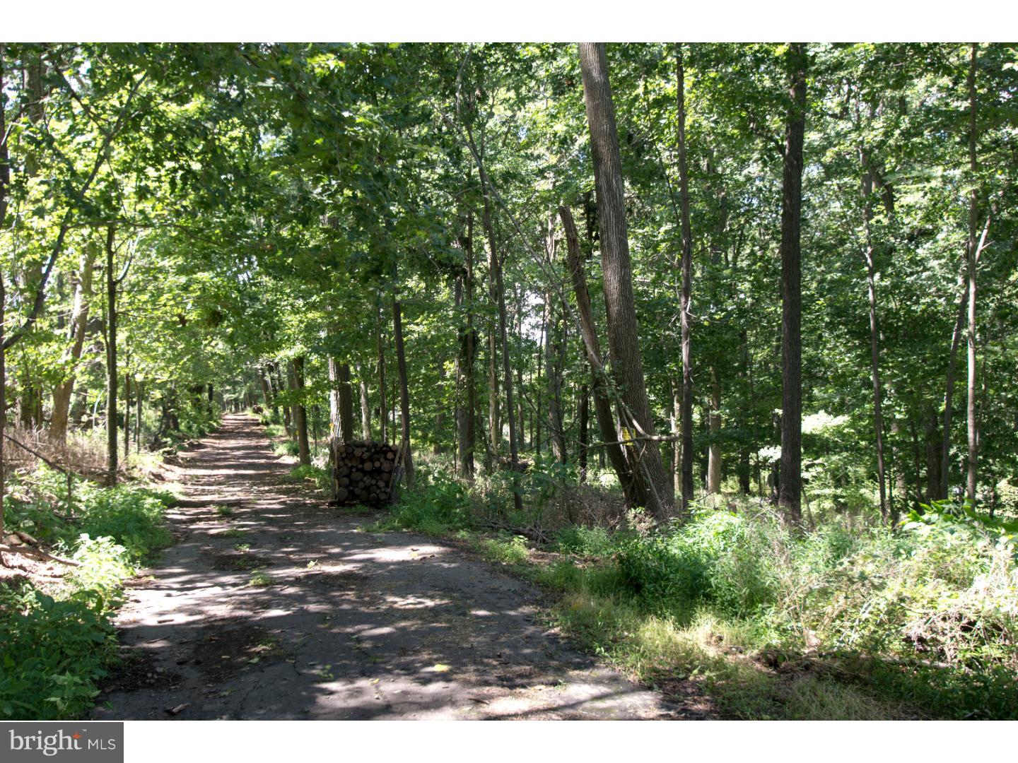 58 Poor Farm Road Pennington, NJ 08534 - Photo 3 of 7 Gallery Image 3