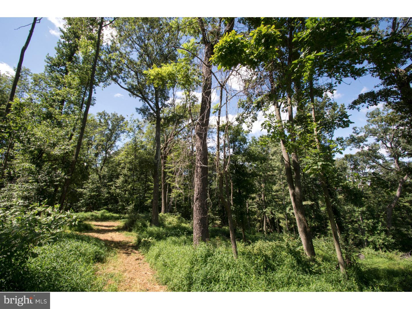 58 Poor Farm Road Pennington, NJ 08534 - Photo 5 of 7 Gallery Image 5