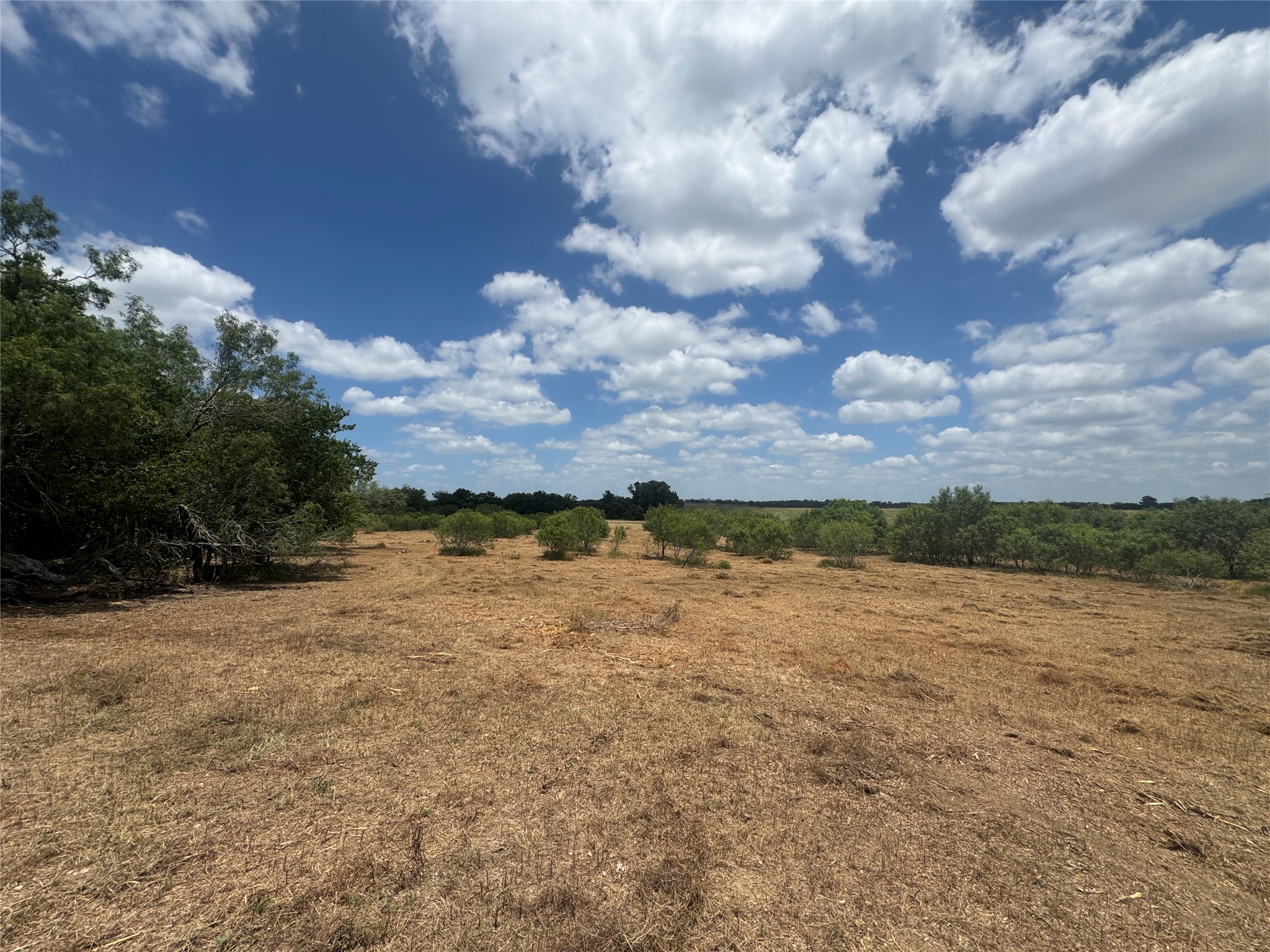 Tbd Sand Hill Road Dale, TX 78616 - Photo 9 of 9 A spacious, open field with verdant trees lining the horizon beneath a vast, partly cloudy sky.