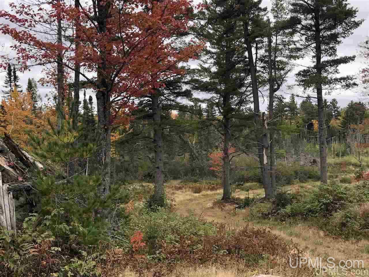 Tbd Off Woods Road Negaunee, MI 49849 - Photo 3 of 15
