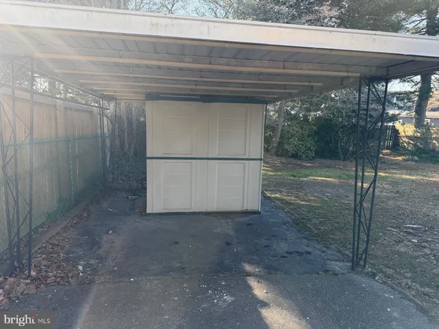a view of a yard with a tree
