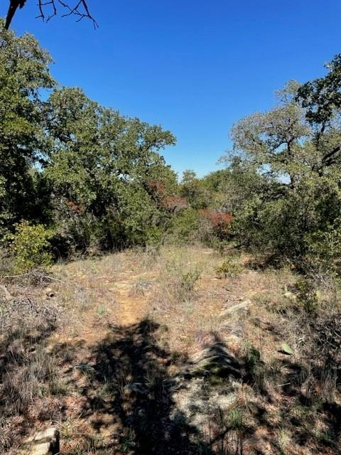 0 County Road 136 Ranger, TX 76470 - Photo 11 of 13 a view of a large yard with lots of green space