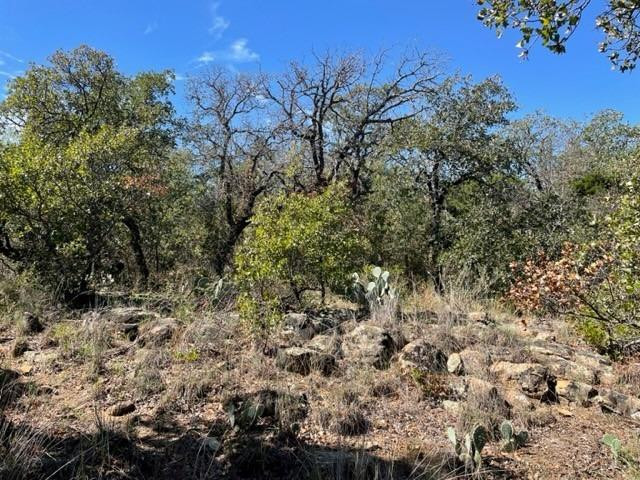 0 County Road 136 Ranger, TX 76470 - Photo 12 of 13 a view of a yard