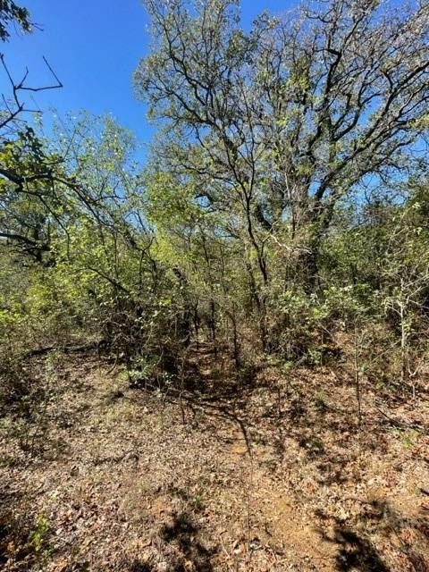 0 County Road 136 Ranger, TX 76470 - Photo 2 of 13 a view of a yard with a tree