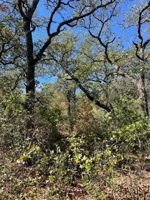 0 County Road 136 Ranger, TX 76470 - Photo 7 of 13 a view of a yard