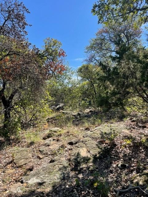 0 County Road 136 Ranger, TX 76470 - Photo 10 of 13 a view of a yard