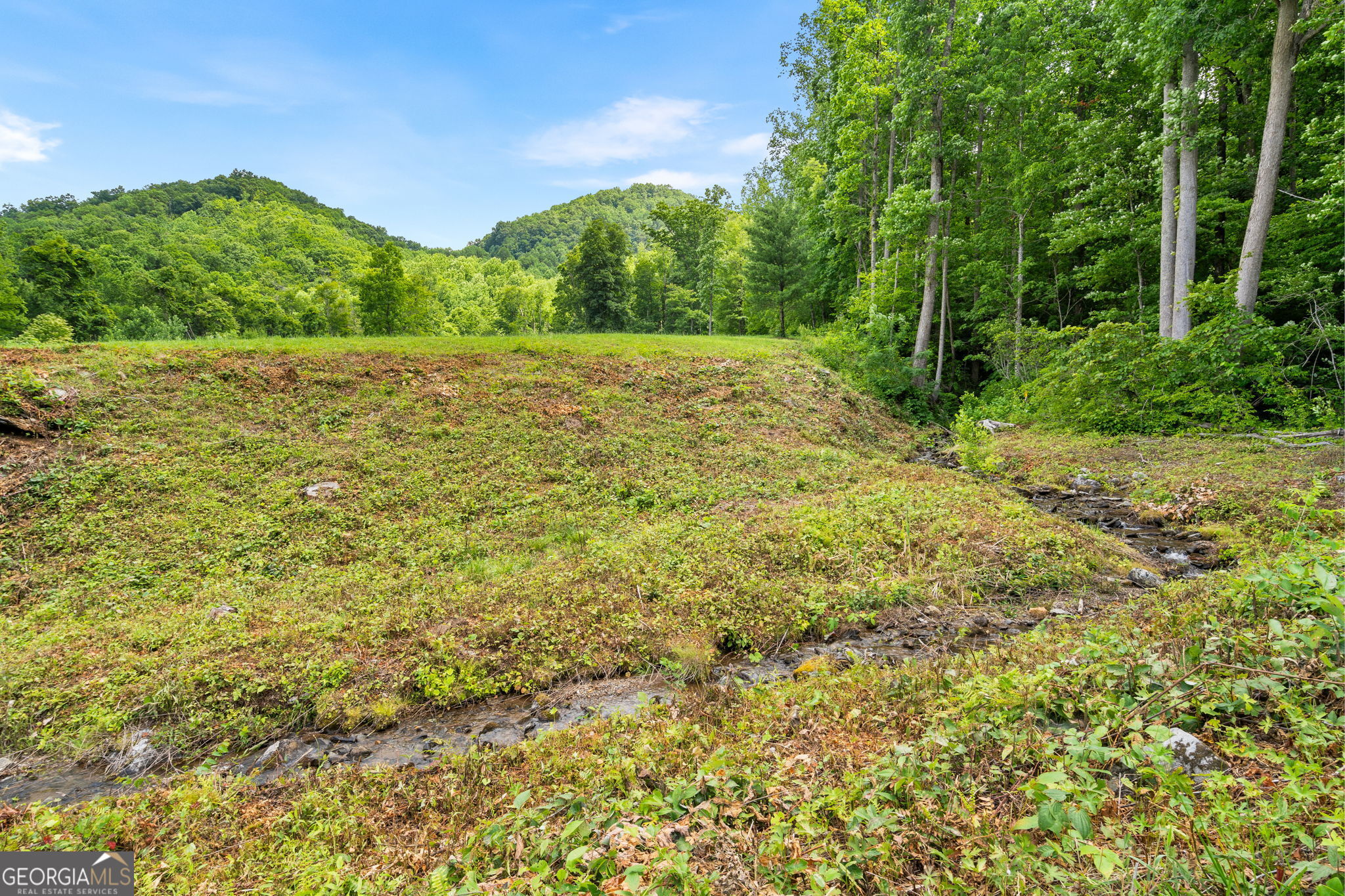 1449 Muskrat Creek Road Hayesville, NC 28904 - Photo 49 of 67