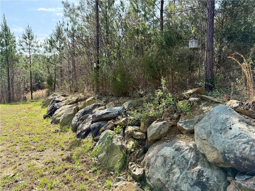 5280 Tabernacle School Road Asheboro, NC 27205 - Photo 13 of 22 Landscaping