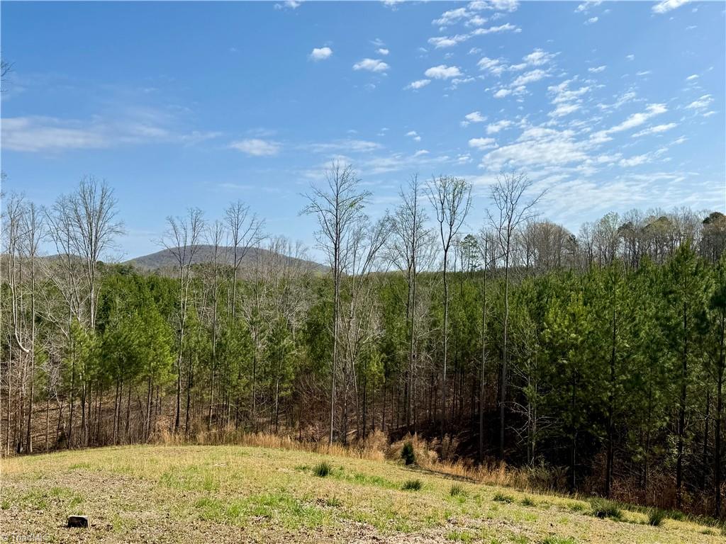 5280 Tabernacle School Road Asheboro, NC 27205 - Photo 16 of 22 View