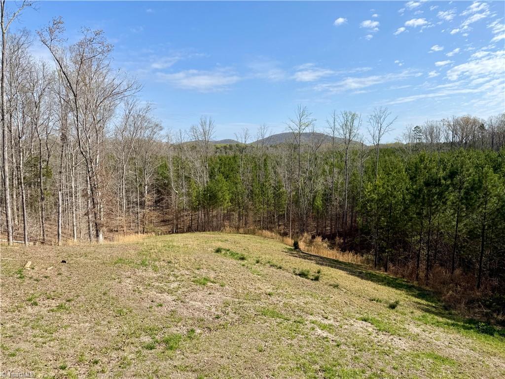 5280 Tabernacle School Road Asheboro, NC 27205 - Photo 17 of 22