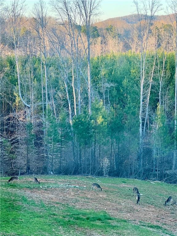 5280 Tabernacle School Road Asheboro, NC 27205 - Photo 20 of 22 View from Deck