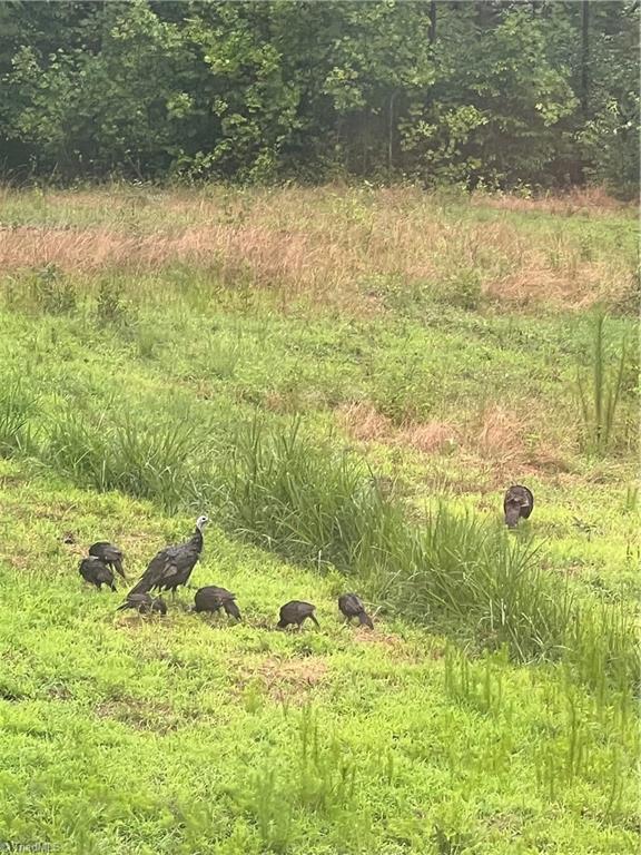 5280 Tabernacle School Road Asheboro, NC 27205 - Photo 21 of 22 Deck View