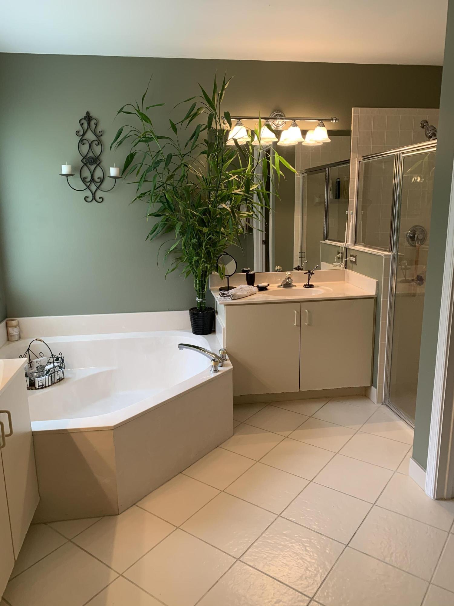10903 Crescendo Circle Boca Raton, FL 33498 - Photo 21 of 49 master bath tub