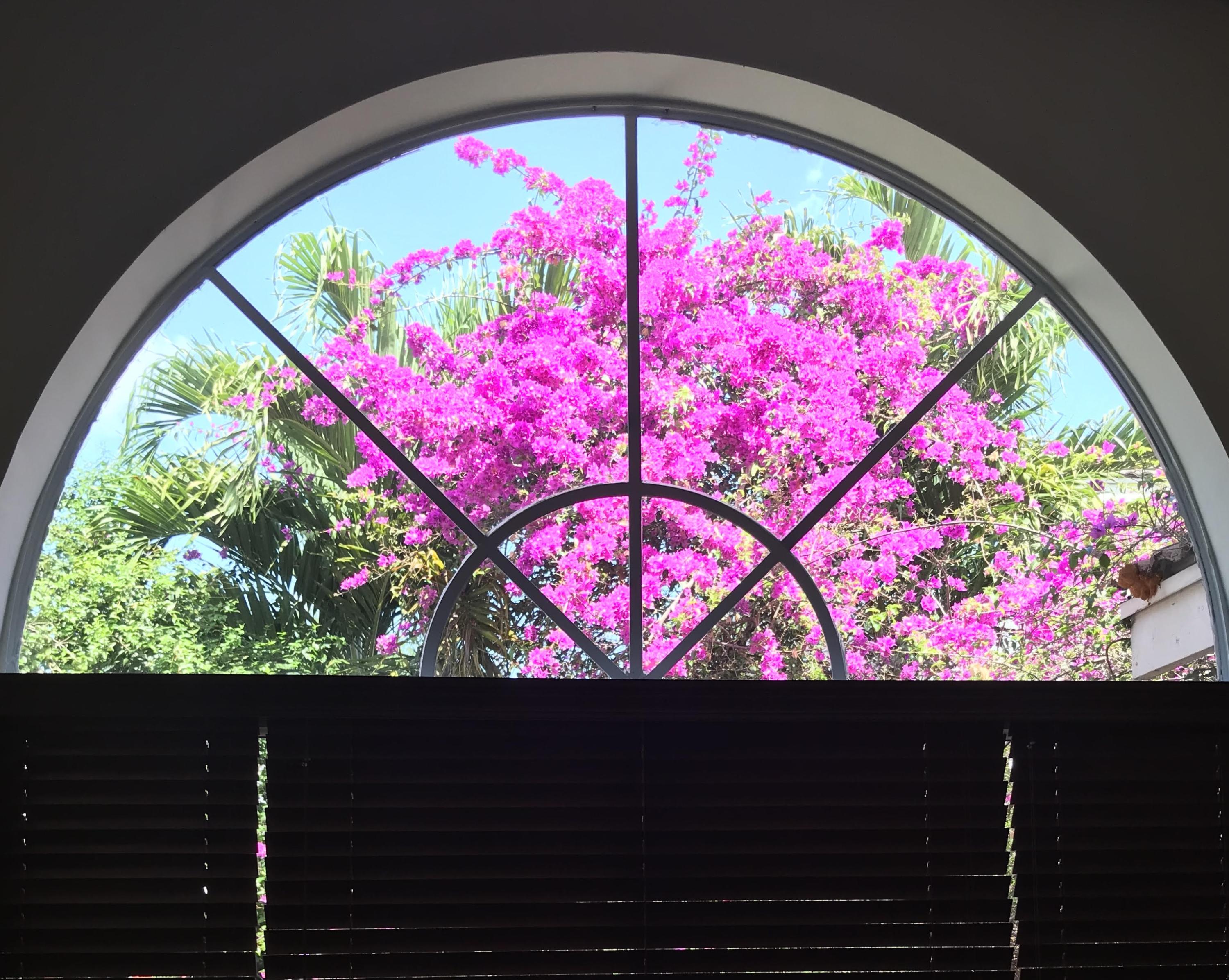 10903 Crescendo Circle Boca Raton, FL 33498 - Photo 8 of 49 Siamac upper window flowers