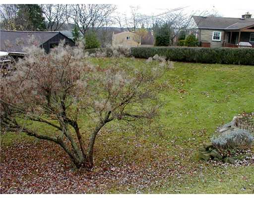 312 Orchard Spring Road Pittsburgh, PA 15220 - Photo 15 of 18 Yard/Garden.