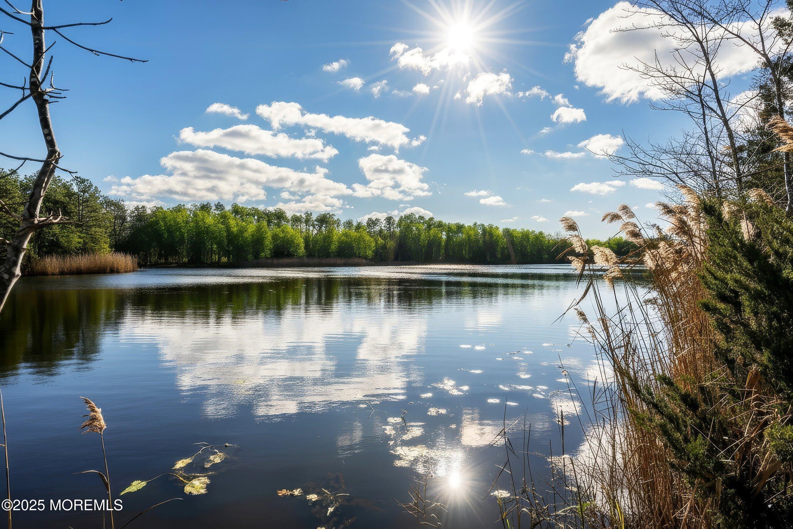 10 Magnolia Road, Unit 19 Manahawkin, NJ 08050 - Photo 26 of 30 a view of a lake in between two of trees