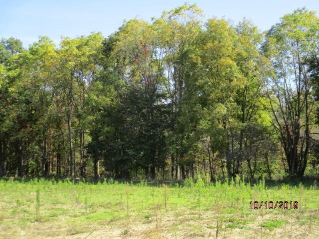 0 West 5 Point Highway Charlotte, MI 48813 - Photo 6 of 7