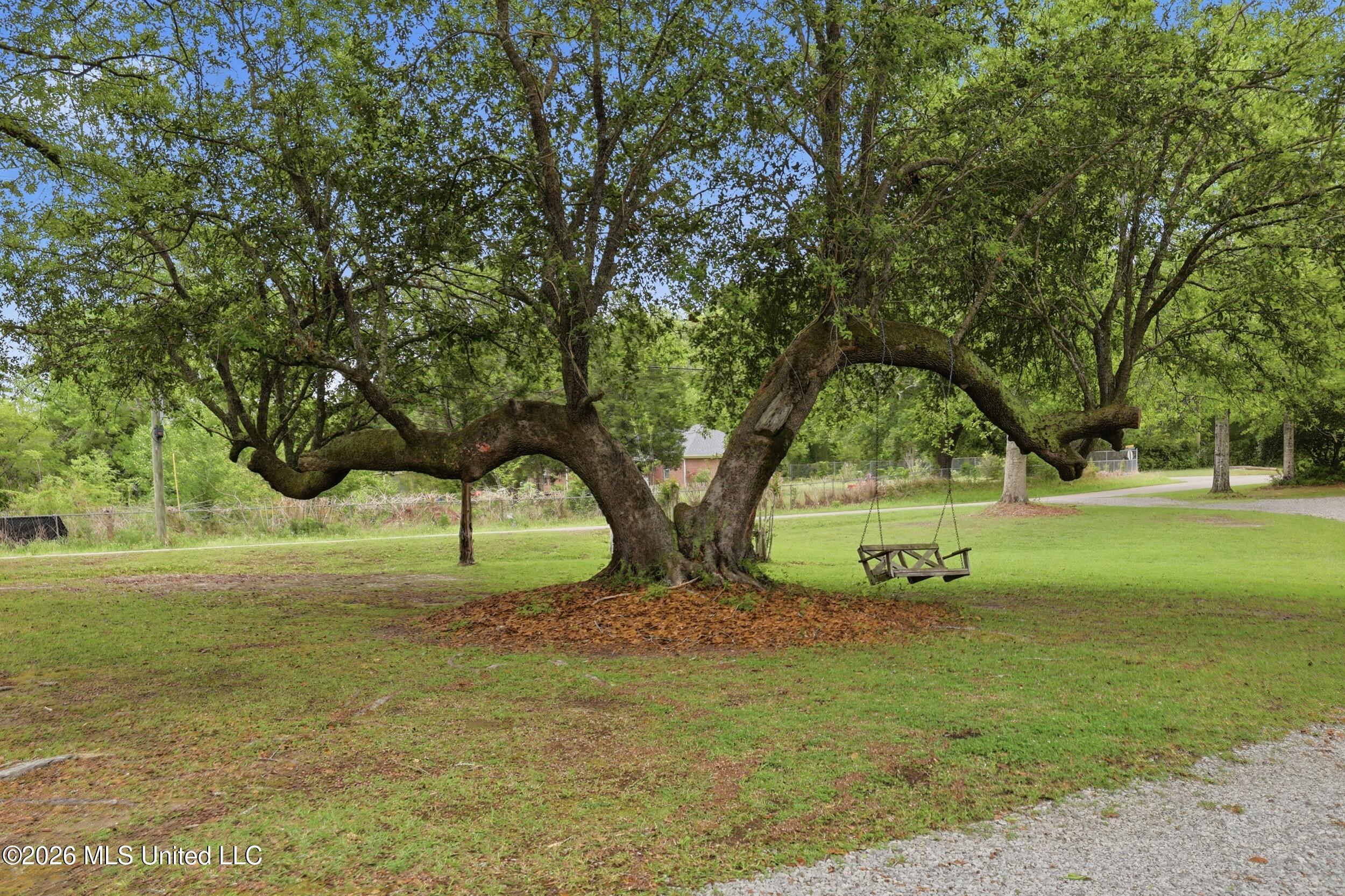 13213 Mt Pleasant Road Vancleave, MS 39565 - Photo 5 of 50 r6__3089