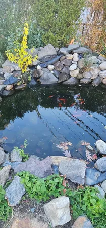 $4,500 | 1 Blackford Avenue, Yonkers, NY 10704