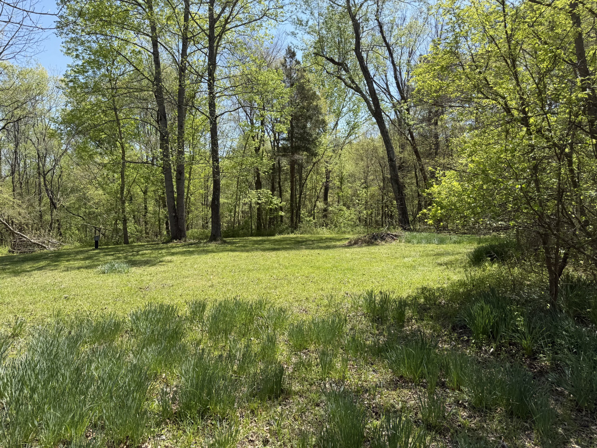 534 Whitney Branch Road Springville, TN 38256 - Photo 2 of 61 Gallery Image 2
