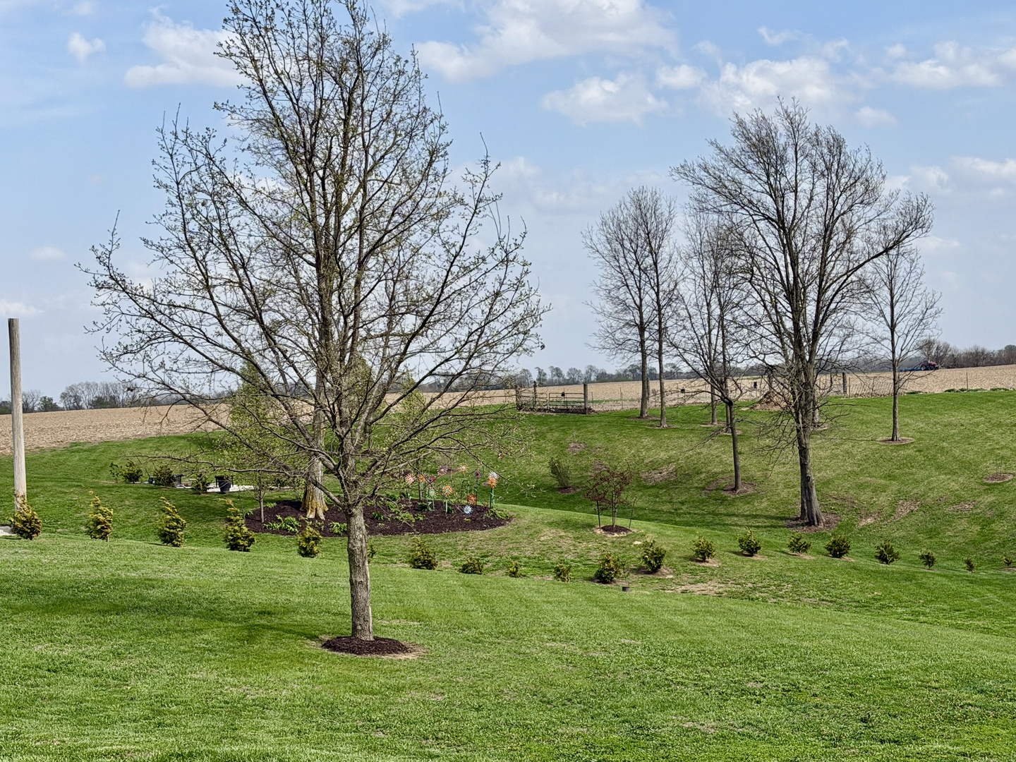 19455 Capp Road Morrison, IL 61270 - Photo 35 of 39