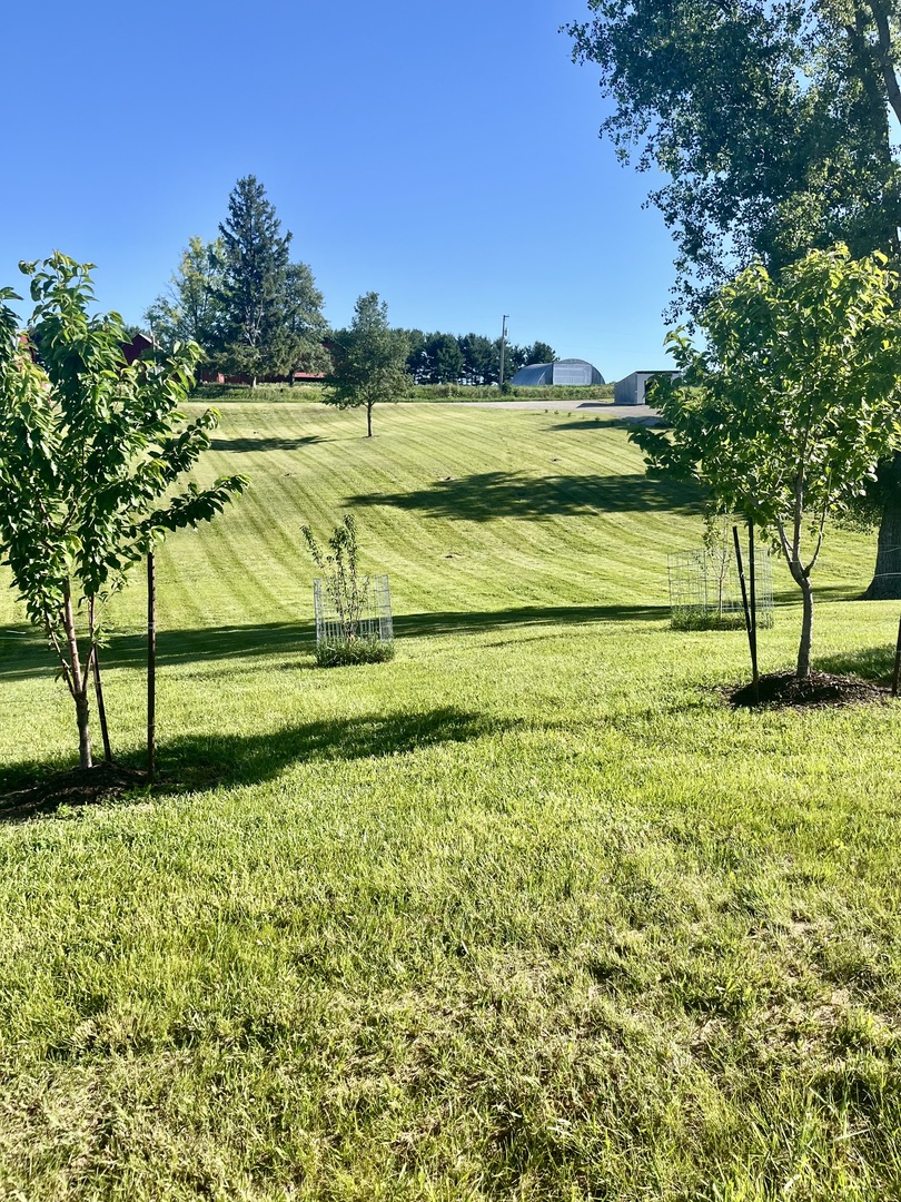 19455 Capp Road Morrison, IL 61270 - Photo 37 of 39