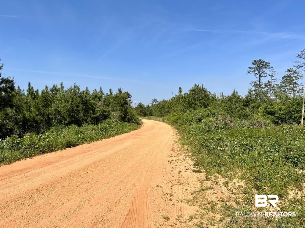 0 Fluker Kiel Road Coffeeville, AL 36524 - Photo 27 of 34