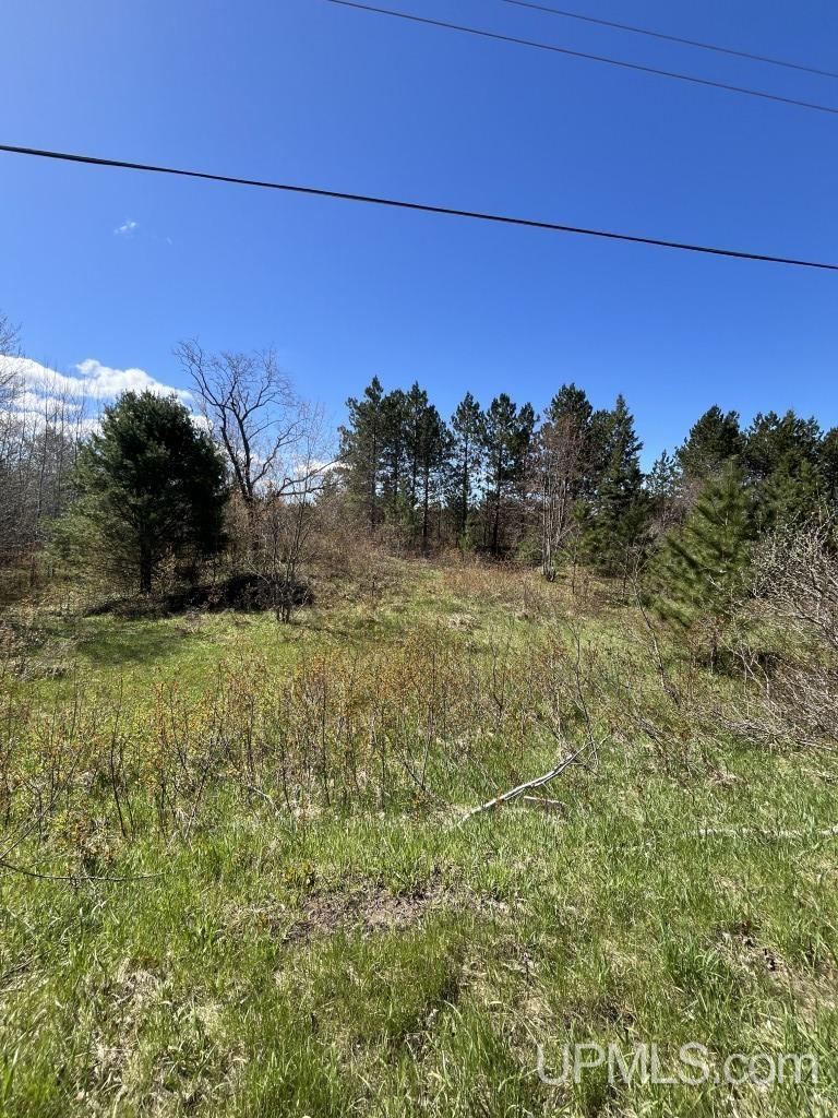 H58 Rd Munising Mi 49862 Road Munising, MI 49862 - Photo 5 of 6