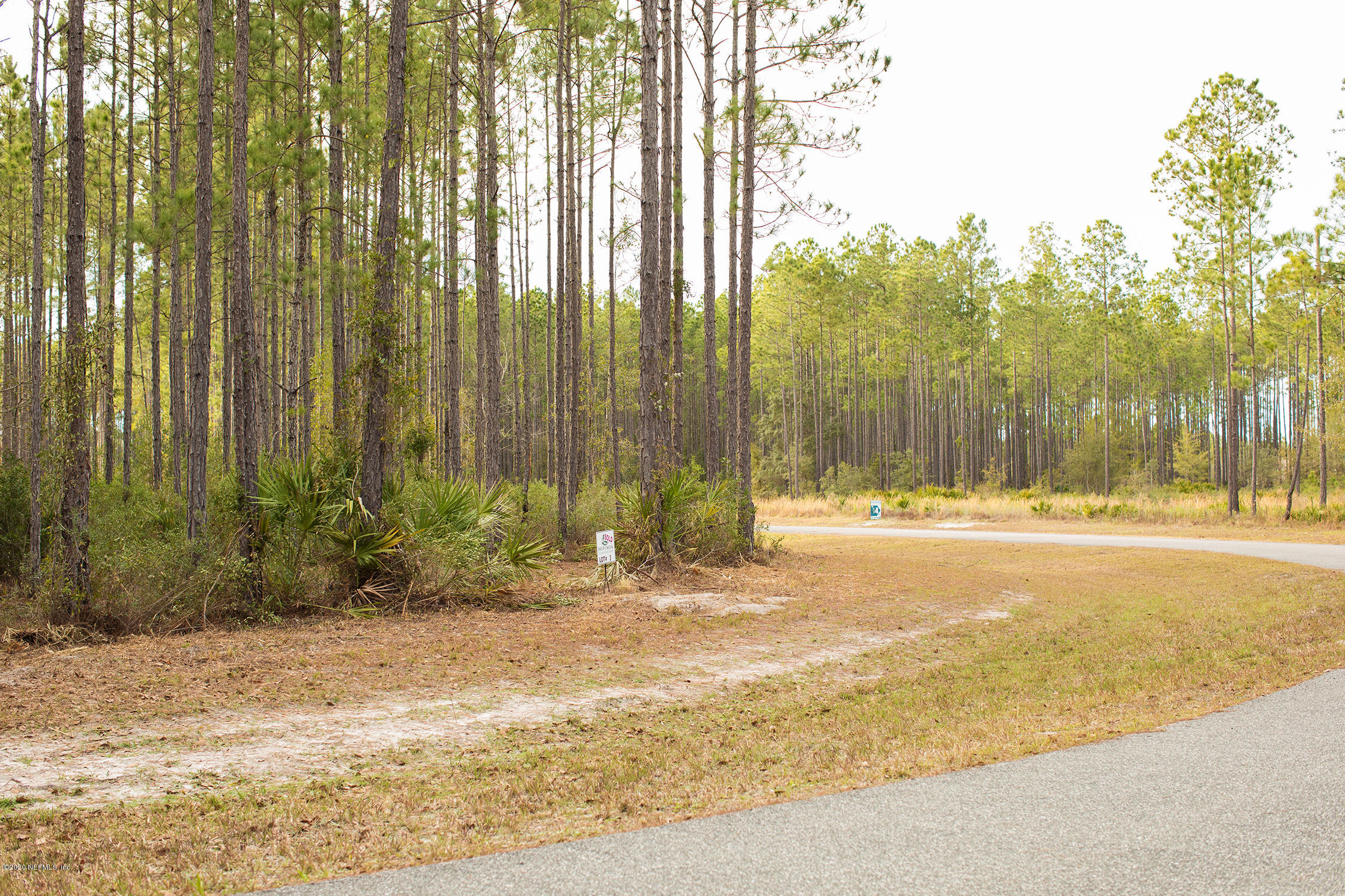 Lot 3 Ingle Road Bryceville, FL 32009 - Photo 2 of 16 5D4_2215