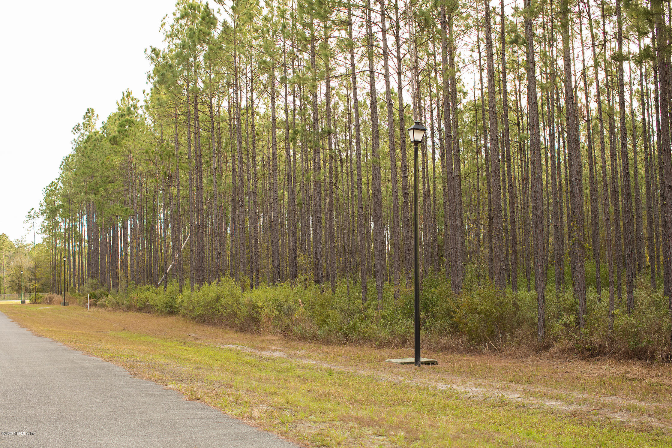 Lot 3 Ingle Road Bryceville, FL 32009 - Photo 3 of 16 5D4_2217