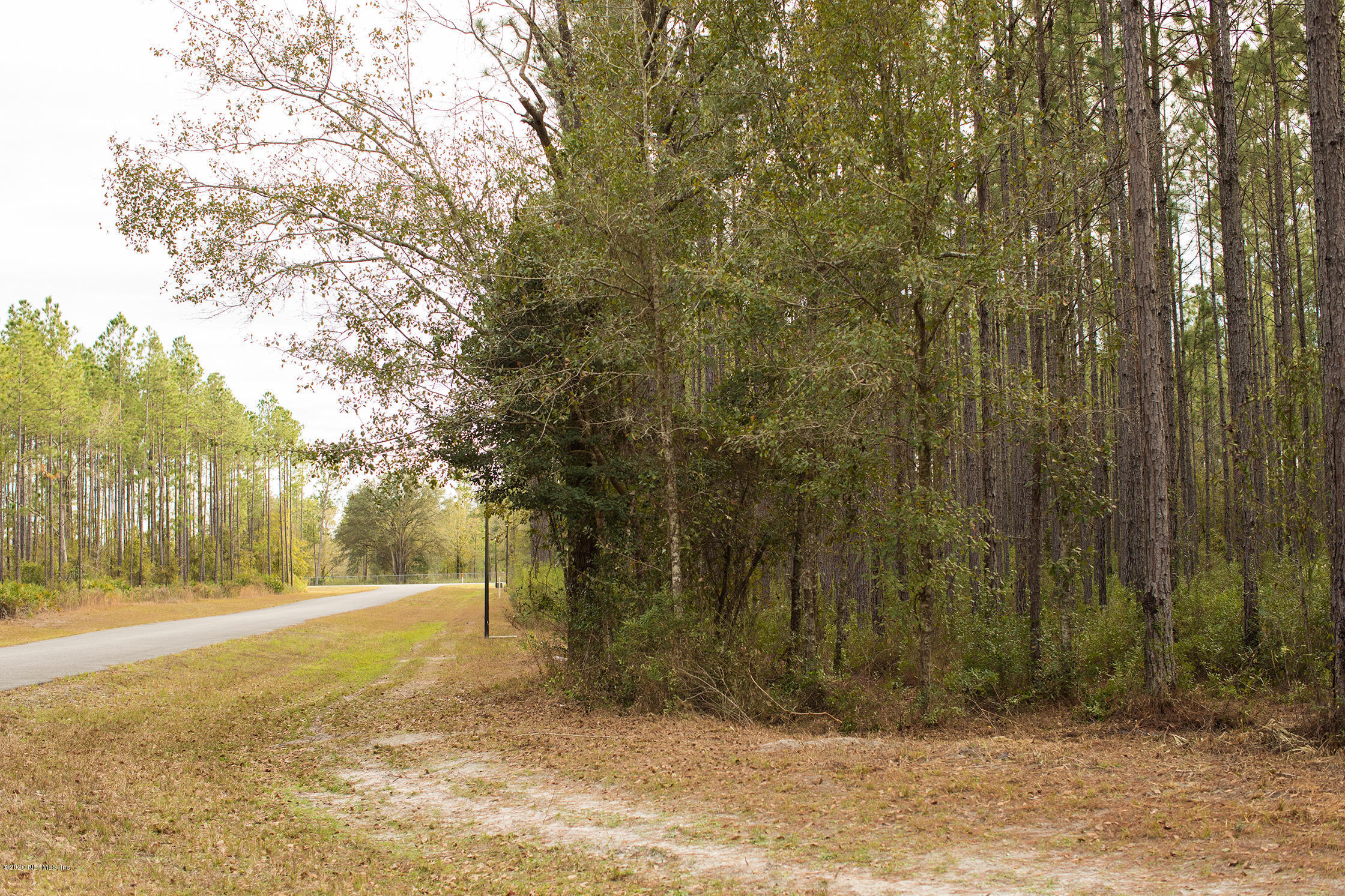 Lot 3 Ingle Road Bryceville, FL 32009 - Photo 4 of 16 5D4_2223