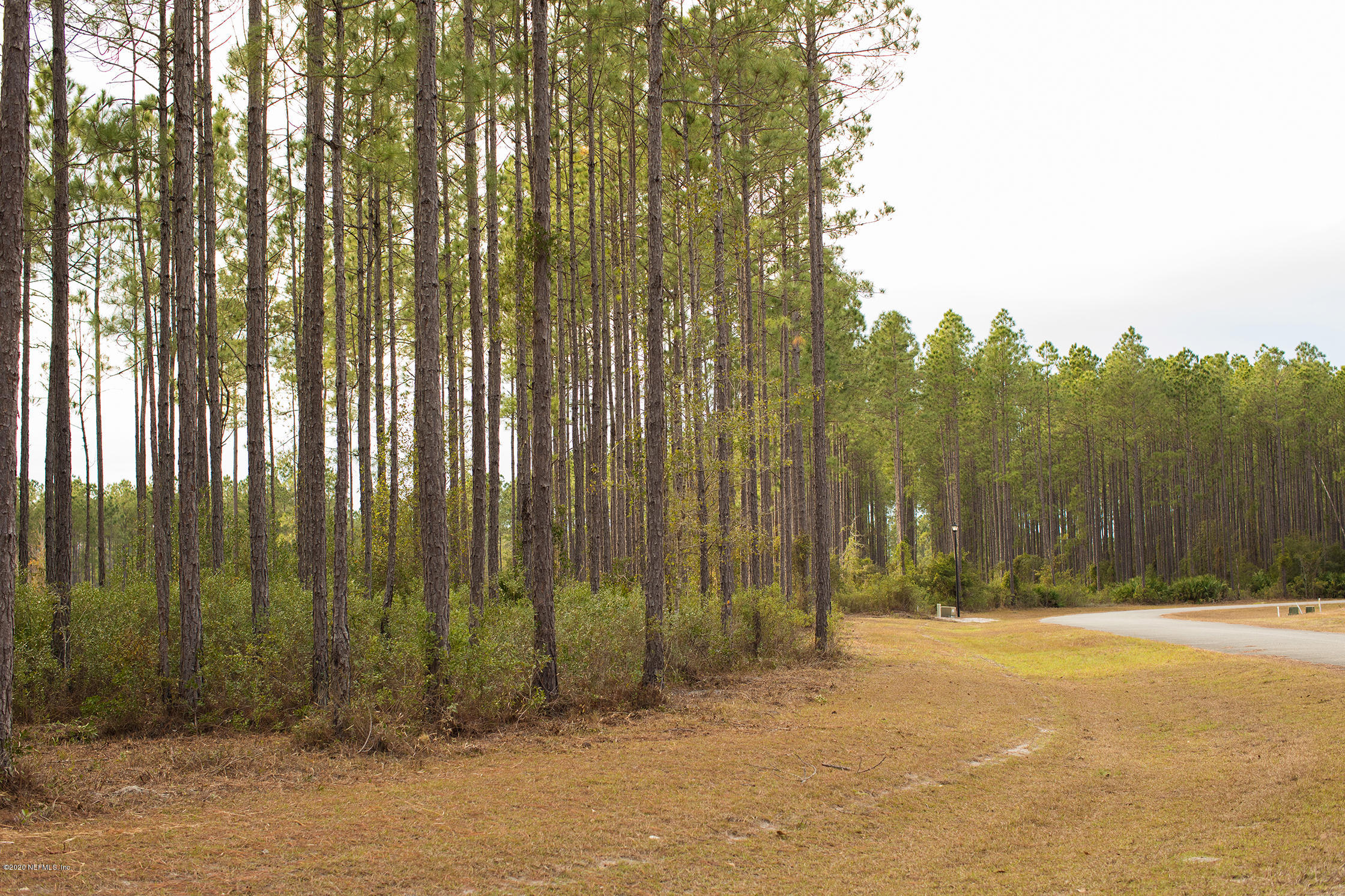 Lot 3 Ingle Road Bryceville, FL 32009 - Photo 5 of 16 5D4_2225
